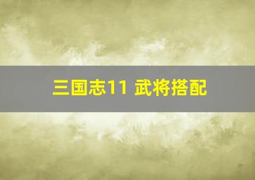 三国志11 武将搭配